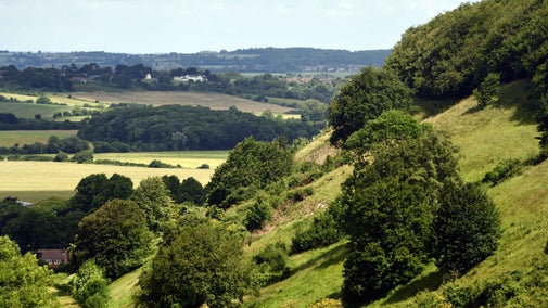 View from Sharpenhoe Clappers, Sharpenhoe, Bedfordshire in July